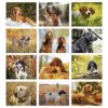 Remington Sporting Dogs Calendar - Image 2