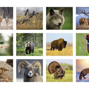 Remington Wildlife Photo Calendar – Remington Calendars